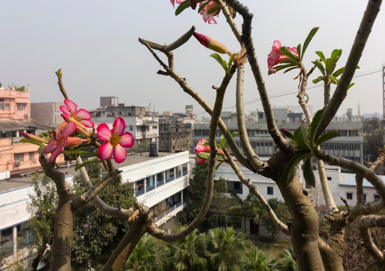 Neelam Bed & Breakfast Kolkata Exterior photo